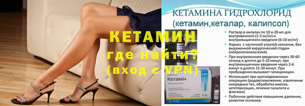гашик Козловка