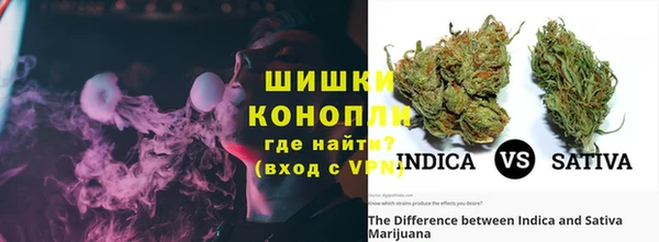 гашик Козловка