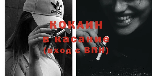 гашик Козловка
