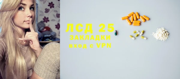 гашик Козловка