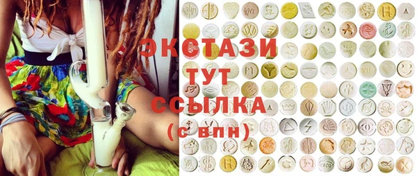 гашик Козловка