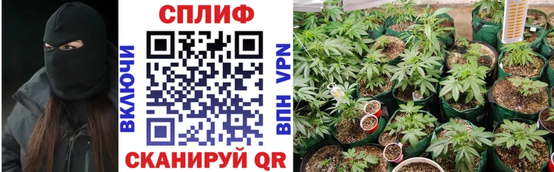 Канабис OG Kush  Купить где  Ленинск 